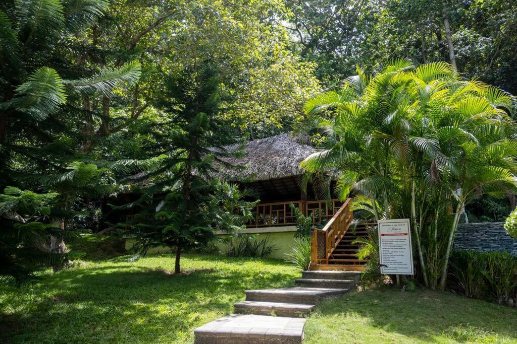 Villa Victoria Jarabacoa Eksteriør bilde